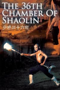 دانلود فیلم سی و ششمین اتاق شائولین The 36th Chamber of Shaolin 1978 دوبله فارسی